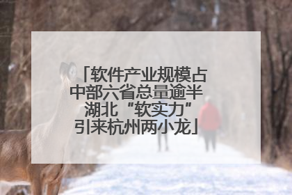 软件产业规模占中部六省总量逾半 湖北“软实力”引来杭州两小龙