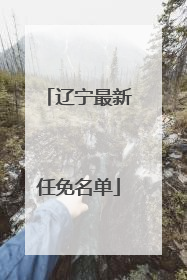 辽宁最新任免名单