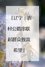 辽宁：农村公路串联起群众致富希望
