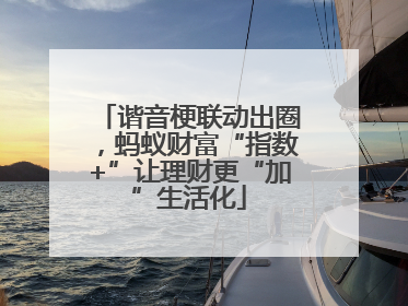 谐音梗联动出圈，蚂蚁财富“指数+”让理财更“加”生活化