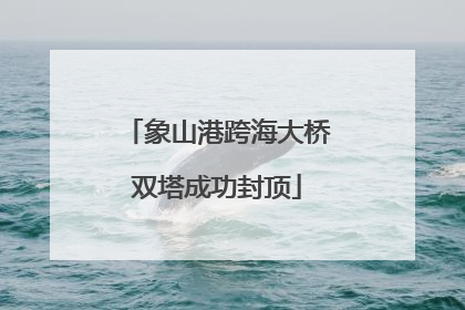 象山港跨海大桥双塔成功封顶