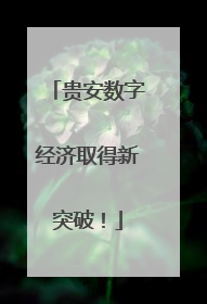 贵安数字经济取得新突破！