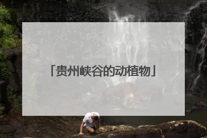 贵州峡谷的动植物