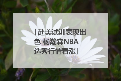 赴美试训表现出色 杨瀚森NBA选秀行情看涨