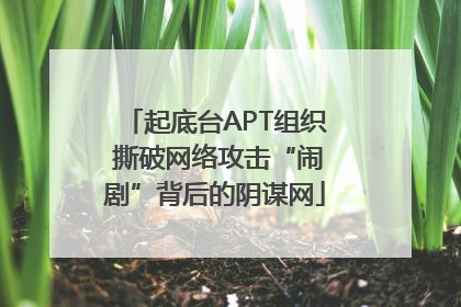 起底台APT组织 撕破网络攻击“闹剧”背后的阴谋网