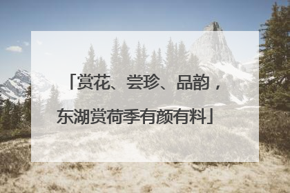 赏花、尝珍、品韵，东湖赏荷季有颜有料