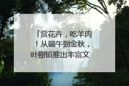 赏花卉，吃羊肉！从端午到金秋，叶榭镇推出丰富文旅活动邀您爽玩