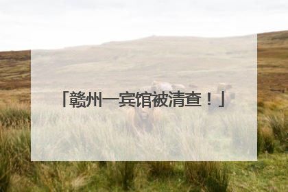 赣州一宾馆被清查！