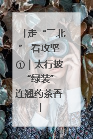 走“三北” 看攻坚①｜太行披“绿装” 连翘药茶香