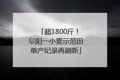 超1800斤！阜阳一小麦示范田单产纪录再刷新