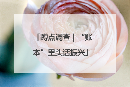 蹲点调查｜“账本”里头话振兴