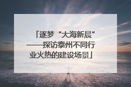 逐梦“大海新晨”——探访泰州不同行业火热的建设场景