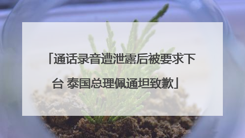 通话录音遭泄露后被要求下台 泰国总理佩通坦致歉