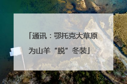 通讯：鄂托克大草原为山羊“脱”冬装