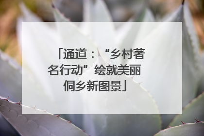 通道：“乡村著名行动”绘就美丽侗乡新图景