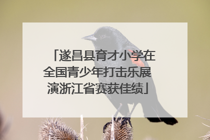 遂昌县育才小学在全国青少年打击乐展演浙江省赛获佳绩