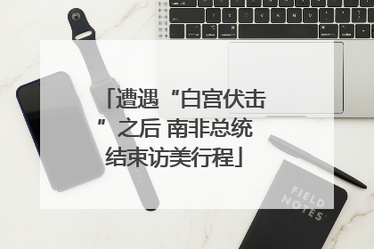 遭遇“白宫伏击”之后 南非总统结束访美行程