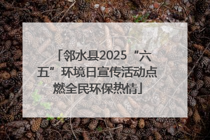 邻水县2025“六五”环境日宣传活动点燃全民环保热情