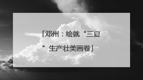 邓州：绘就“三夏”生产壮美画卷