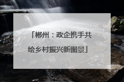郴州：政企携手共绘乡村振兴新图景