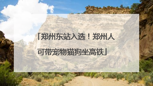 郑州东站入选！郑州人可带宠物猫狗坐高铁