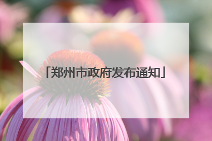 郑州市政府发布通知