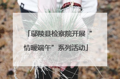 鄢陵县检察院开展“情暖端午”系列活动