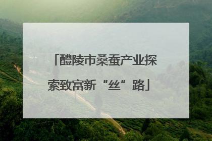 醴陵市桑蚕产业探索致富新“丝”路