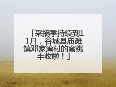 采摘季持续到11月，谷城县庙滩镇邓家湾村的蜜桃丰收啦！