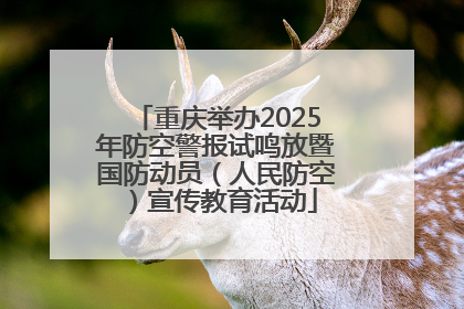重庆举办2025年防空警报试鸣放暨国防动员（人民防空）宣传教育活动