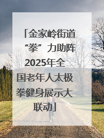 金家岭街道“拳”力助阵2025年全国老年人太极拳健身展示大联动