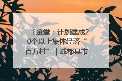 金堂：计划建成20个以上集体经济“百万村”｜成都县市新城高质量发展