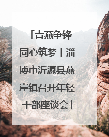 青燕争锋 同心筑梦丨淄博市沂源县燕崖镇召开年轻干部座谈会
