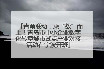 青甬联动，乘“数”而上！青岛市中小企业数字化转型城市试点产业对接活动在宁波开班