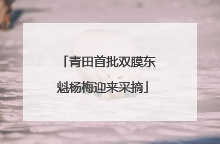 青田首批双膜东魁杨梅迎来采摘