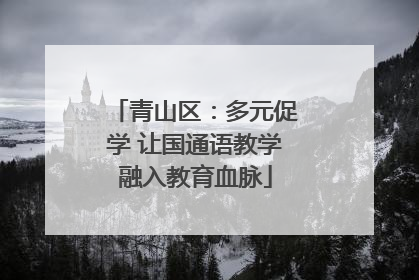 青山区：多元促学 让国通语教学融入教育血脉