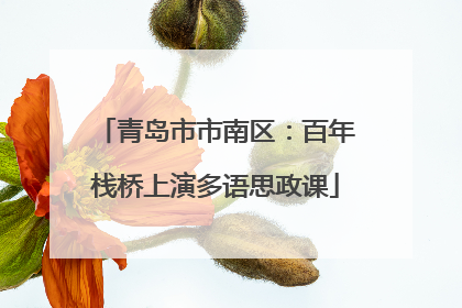 青岛市市南区：百年栈桥上演多语思政课