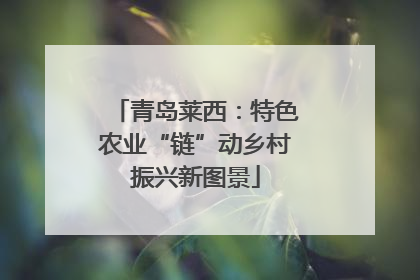 青岛莱西：特色农业“链”动乡村振兴新图景
