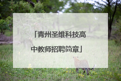 青州圣维科技高中教师招聘简章