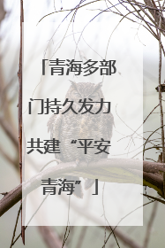 青海多部门持久发力共建“平安青海”