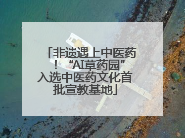 非遗遇上中医药！“AI草药园”入选中医药文化首批宣教基地