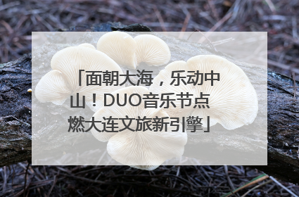 面朝大海，乐动中山！DUO音乐节点燃大连文旅新引擎