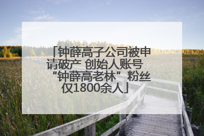 钟薛高子公司被申请破产 创始人账号“钟薛高老林”粉丝仅1800余人