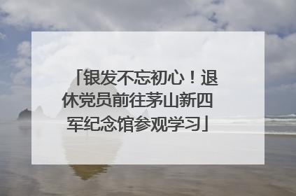 银发不忘初心！退休党员前往茅山新四军纪念馆参观学习