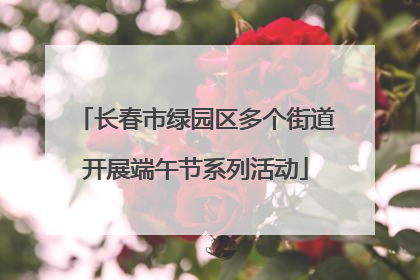 长春市绿园区多个街道开展端午节系列活动