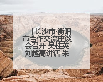 长沙市·衡阳市合作交流座谈会召开 吴桂英刘越高讲话 朱健出席