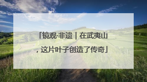 镜观·非遗｜在武夷山，这片叶子创造了传奇