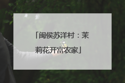 闽侯苏洋村：茉莉花开富农家