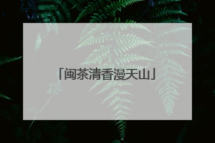 闽茶清香漫天山