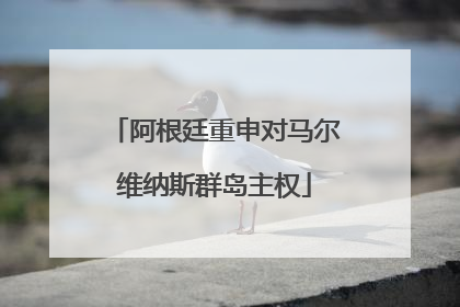 阿根廷重申对马尔维纳斯群岛主权